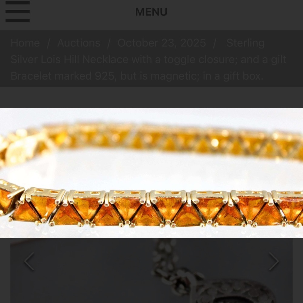 Gilt Bracelet marked 925, but is magnetic; in a gift box.